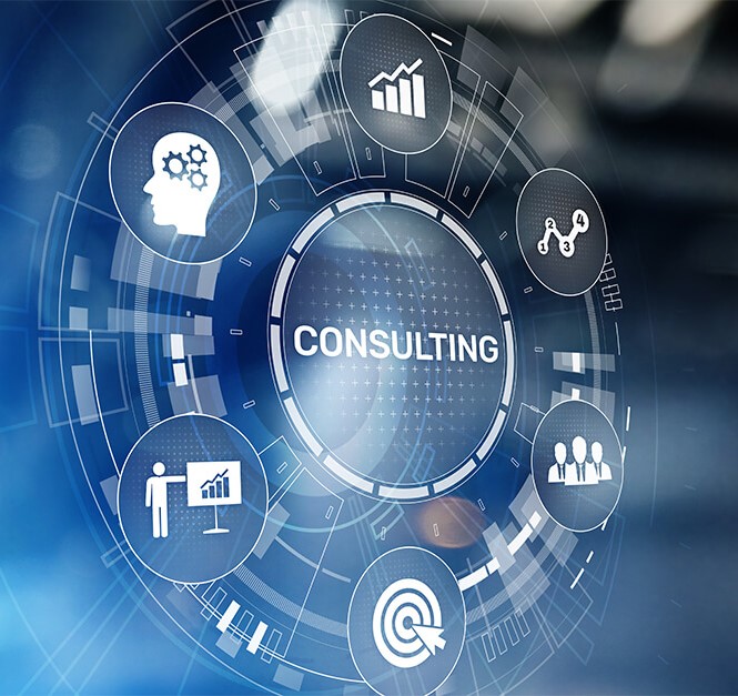 IT Consulting.bak_